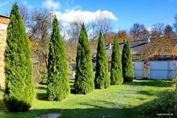 «Это чудесное место». Как живут семьи, чьи дома находятся на территории Брестской крепости