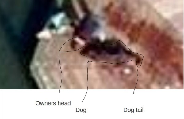Мужчина пропал в 1997 году. Его нашли через 22 года на спутниковых снимках Google Мужчина пропал в 1997 году. Его нашли через 22 года на спутниковых снимках Google