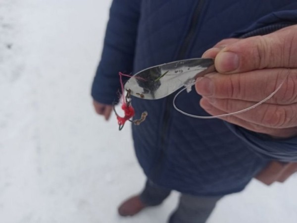 Спасатели пришли на помощь попавшим в ловушки лебедю и лошади в Брестской области Спасатели пришли на помощь попавшим в ловушки лебедю и лошади в Брестской области