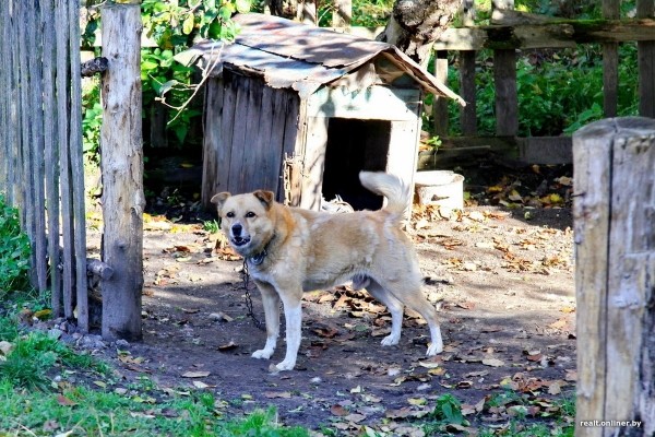 «Это чудесное место». Как живут семьи, чьи дома находятся на территории Брестской крепости