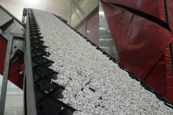 Комплекс по выращиванию грибниц в Кобринском районе замещает импорт и закрывает более половины потребностей внутреннего рынка Комплекс по выращиванию грибниц в Кобринском районе замещает импорт и закрывает более половины потребностей внутреннего рынка