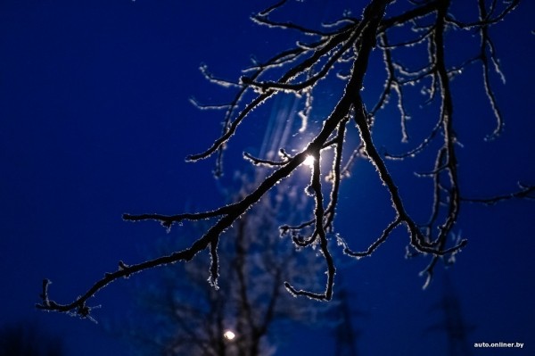 Водитель маршрутки из Вильнюса оставил двух пассажирок по ту сторону границы, пока те отмечали Tax Free. И все по правилам? Водитель маршрутки из Вильнюса оставил двух пассажирок по ту сторону границы, пока те отмечали Tax Free. И все по правилам?