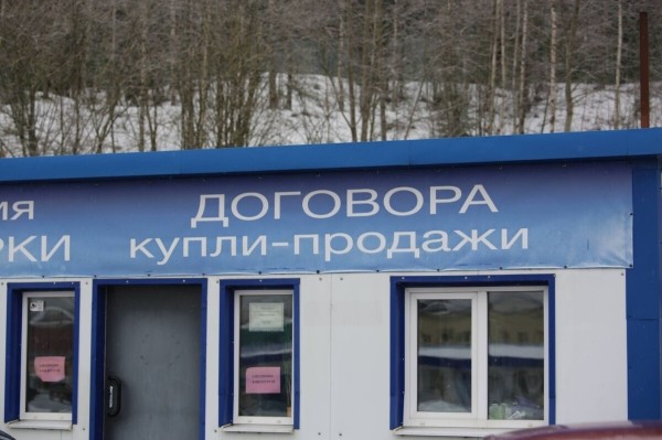 Перекупы-нелегалы выживут, а мелкие автохаусы и ИП — нет? Как участники авторынка оценивают новые правила торговли «бэушкой» Перекупы-нелегалы выживут, а мелкие автохаусы и ИП — нет? Как участники авторынка оценивают новые правила торговли «бэушкой»