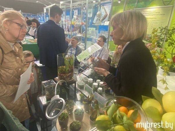 Выставка научно-технических достижений «Беларусь интеллектуальная. Регионы» открылась в Бресте