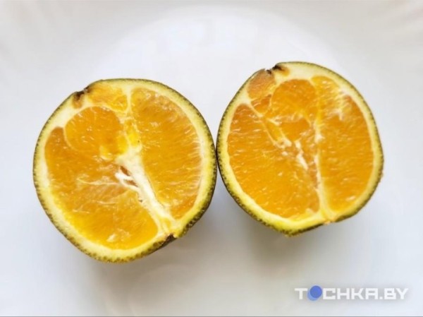 В магазинах появились шоколадные апельсины, но они не всем по карману