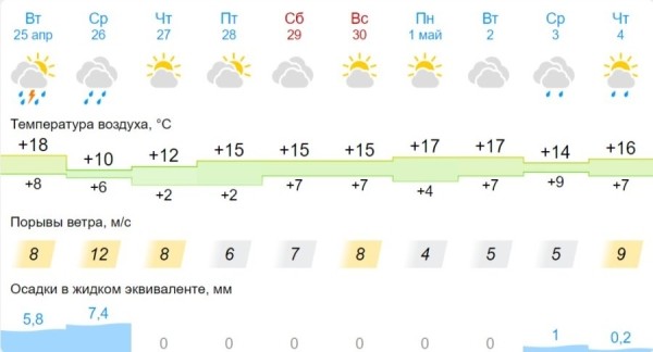 В Бресте ожидаются дожди и грозы. В МЧС напомнили правила поведения в непогоду В Бресте ожидаются дожди и грозы. В МЧС напомнили правила поведения в непогоду