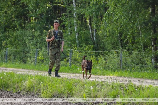 Пограничная Афиша и особенности службы на заставе в Беловежской пуще Пограничная Афиша и особенности службы на заставе в Беловежской пуще