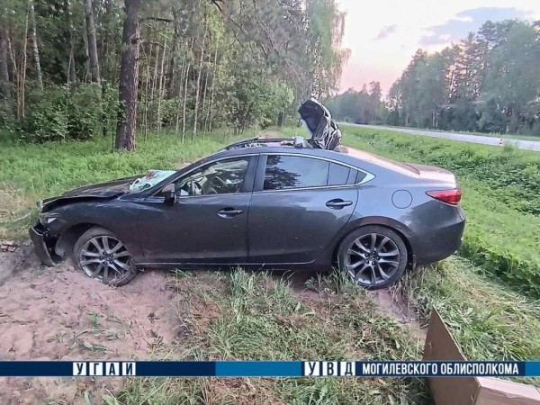 В Беларуси легковушка встретилась с лосем