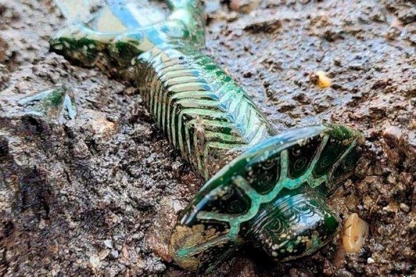 Археологи нашли в Германии бронзовый меч возрастом более 3000 лет